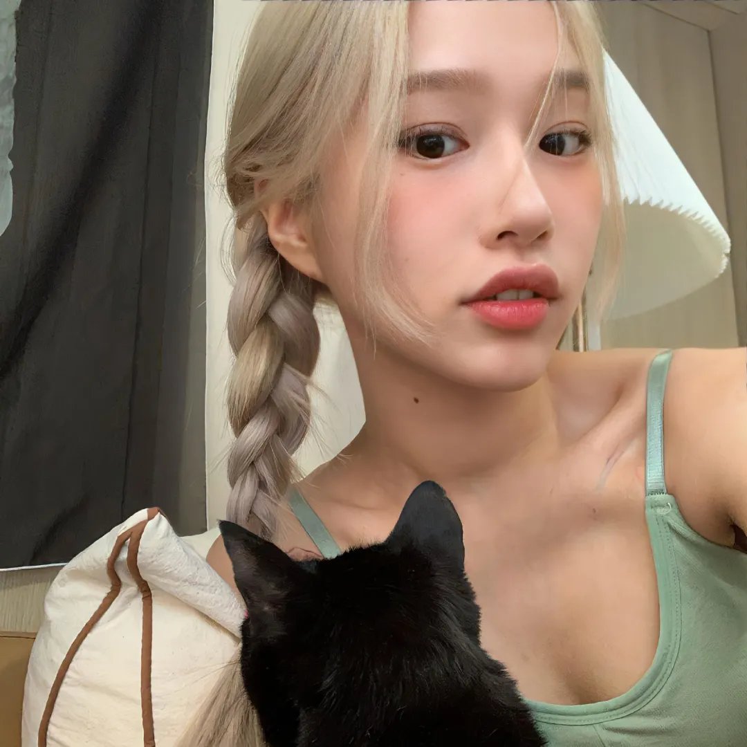 绽放的玫瑰